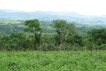 Vue du terrain et de la vallee