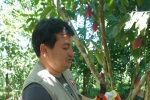 Docteur Es Cacao :-)