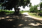 Route et barrière d'accès au village de Bello Horizonte